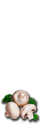 Restoran Đerdan - Gradiška